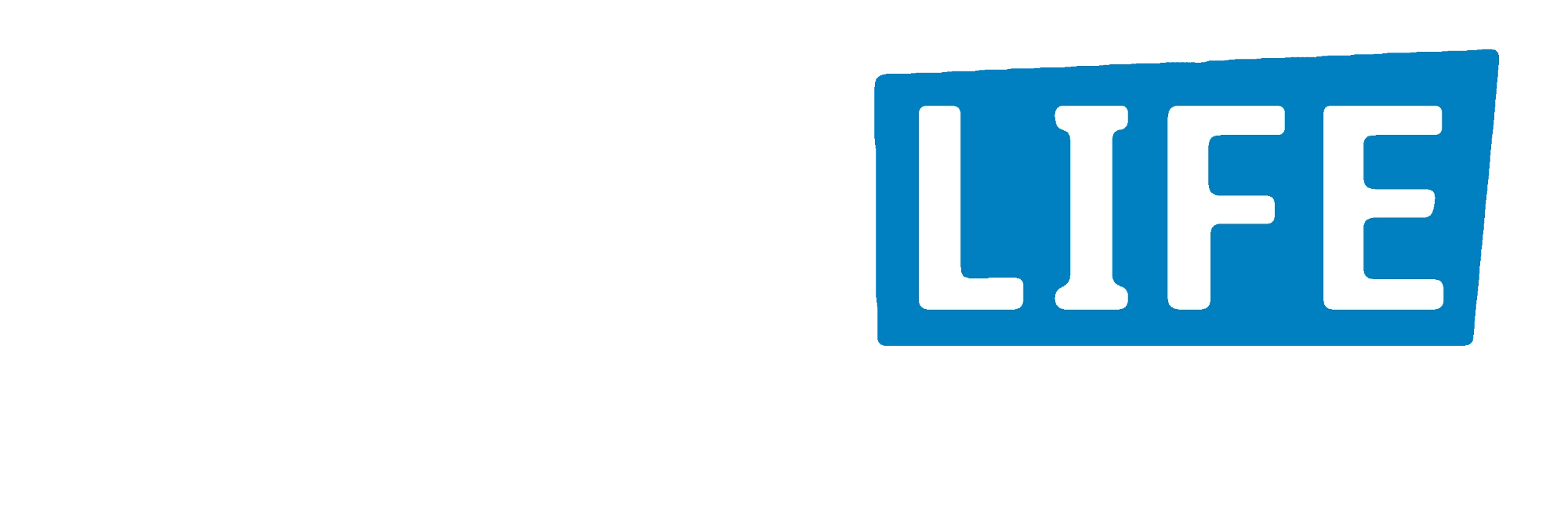 Sales Life